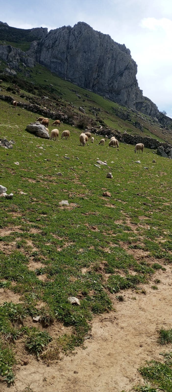 Image d for Tangier, Marruecos