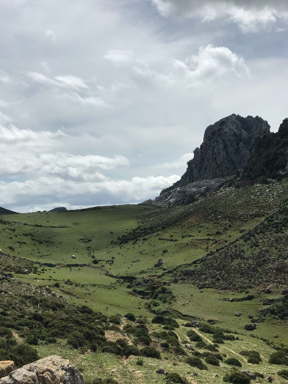 Tour 8 días Tánger a Marrakech