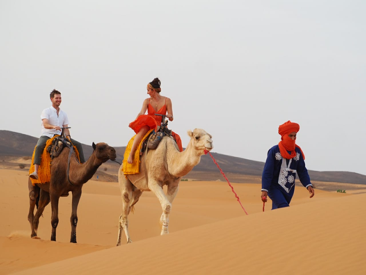 Caravana de Camellos en el Desierto